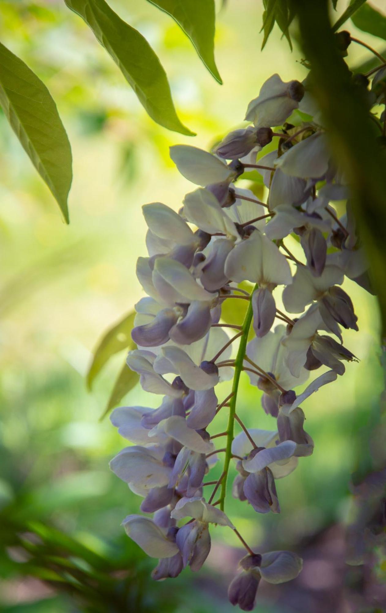 Gardener'S Cottage แลงคาสเตอร์ ภายนอก รูปภาพ