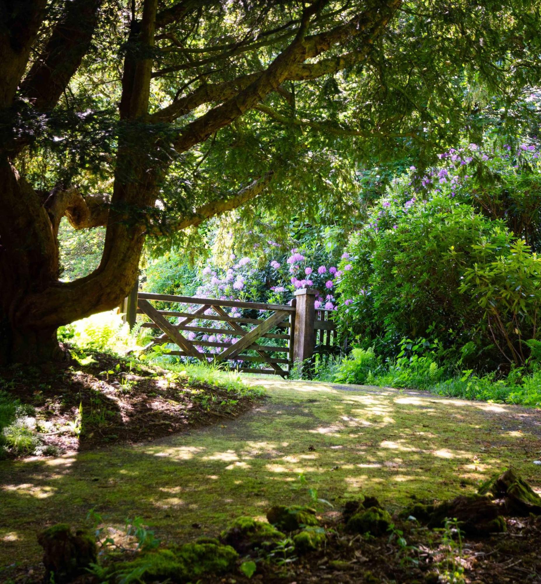 Gardener'S Cottage แลงคาสเตอร์ ภายนอก รูปภาพ